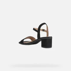 AURELY 50 DAME