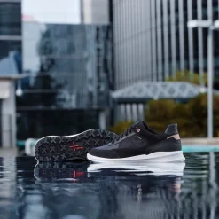 PG1X ABX DAME