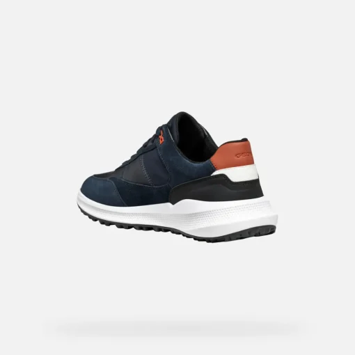 PG1X ABX HERR