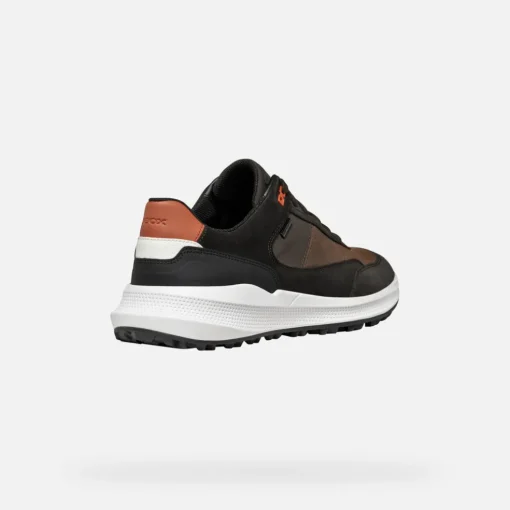 PG1X ABX HERR