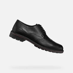 WALK PLEASURE C HERR