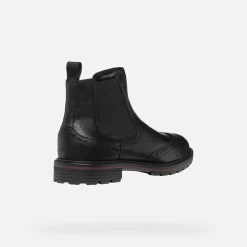 WALK PLEASURE C HERR