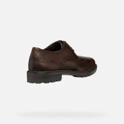 WALK PLEASURE C HERR