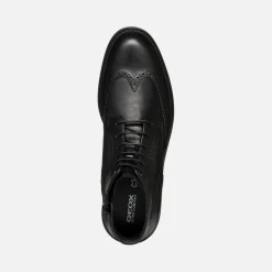 WALK PLEASURE C HERR