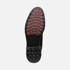 WALK PLEASURE C HERR