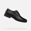 WALK PLEASURE F HERR