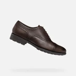 WALK PLEASURE F HERR