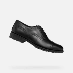 WALK PLEASURE F HERR