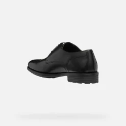WALK PLEASURE F HERR