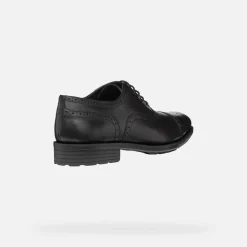 WALK PLEASURE F HERR