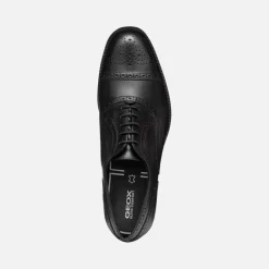 WALK PLEASURE F HERR