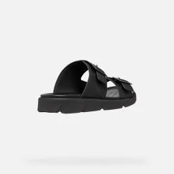 XAND 2S HERR