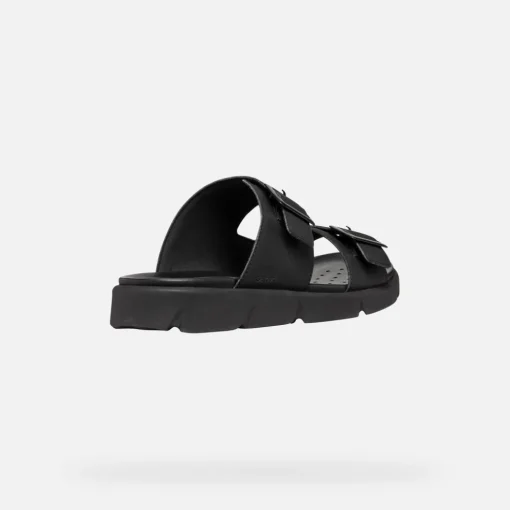 XAND 2S HERR